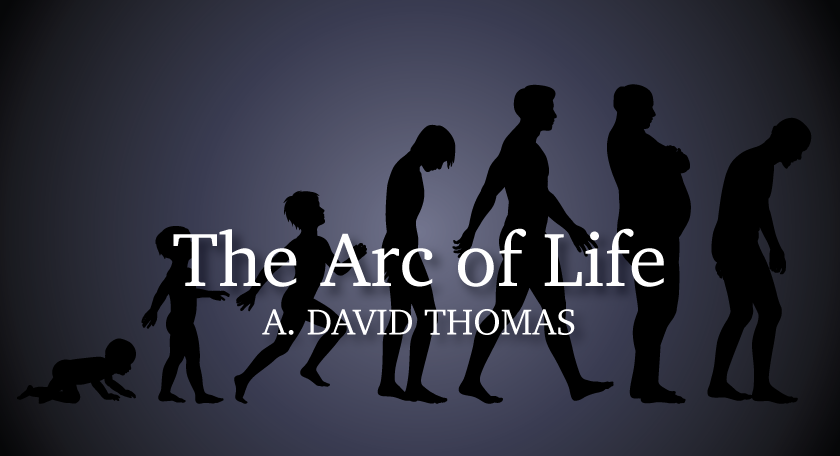 Now That’s Interesting 2 – The Arc of a Life.