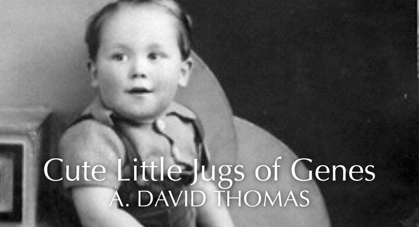 US 1 – Grandpa Tales or Cute Little Jugs of Genes