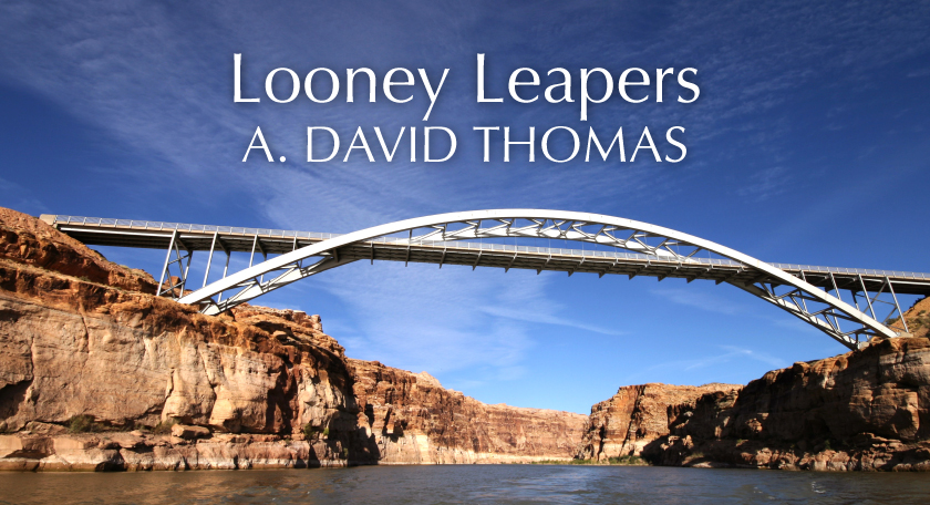 US 7 – Looney Leapers